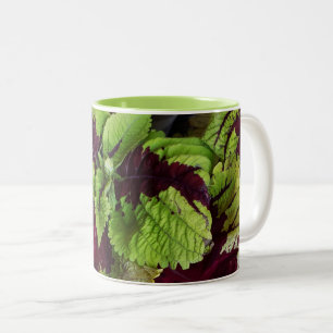Coléus Mug