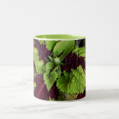 Coléus Mug (Centre)