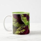 Coléus Mug (Gauche)
