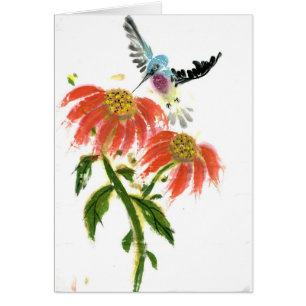Colibri