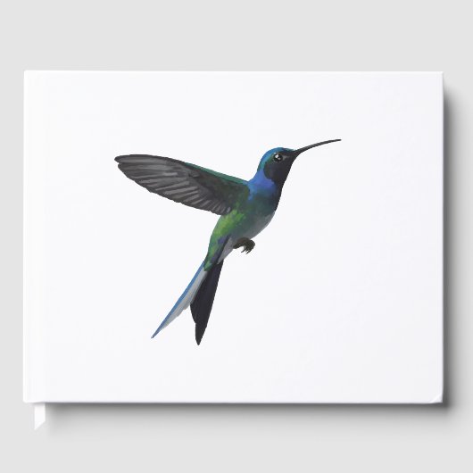 Colibri (Recto)