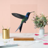 Colibri (Mariage)