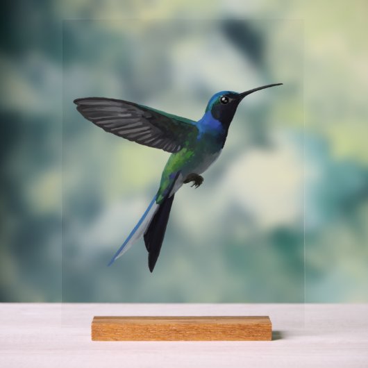 Colibri (Neutre)