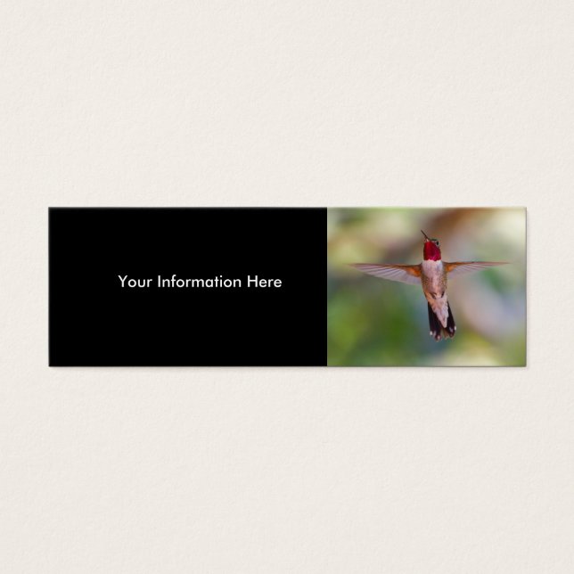 colibri (Devant)