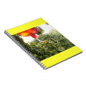 Colibri 2 Carnet (Côté Droit)
