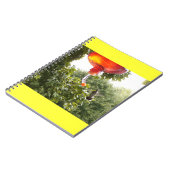 Colibri 2 Carnet (Côté gauche)