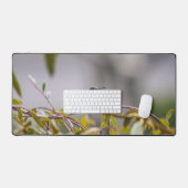 Colibri 3346 (Clavier et souris)