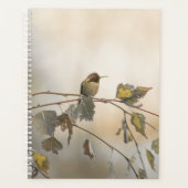 Colibri 5265 (Devant)