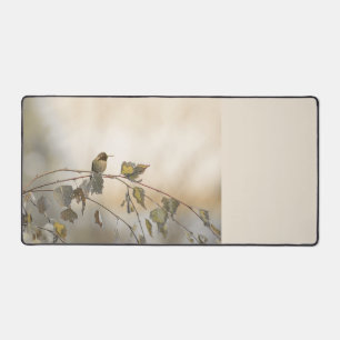 Colibri 5265