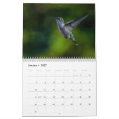 Colibri à gorge rubis Calendrier 2026 (Jan 2027)