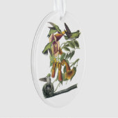 Colibri à gorge rubis par Audubon (devant)