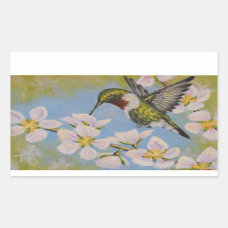 Colibri à gorge rubis - Stickers