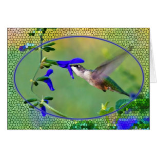 Colibri avec le verre souillé