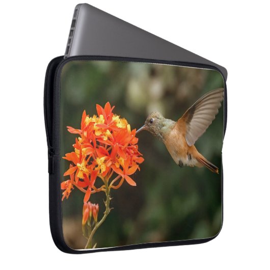 Colibri Avec Sac Électronique Fleur (Devant droit)