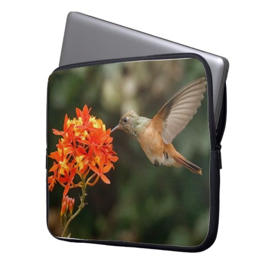 Colibri Avec Sac Électronique Fleur (devant gauche)