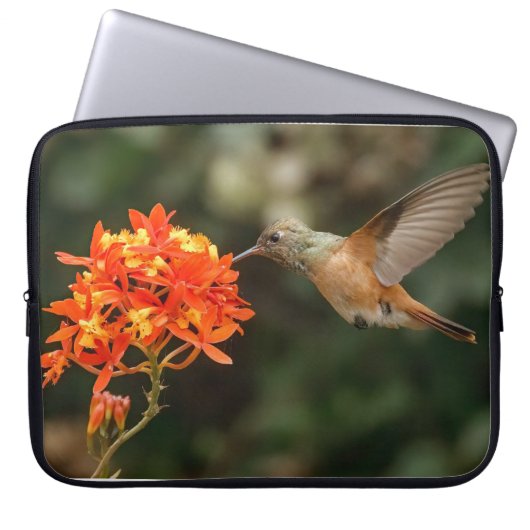 Colibri Avec Sac Électronique Fleur (Devant)