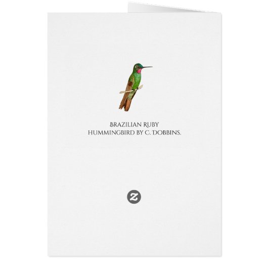 Colibri brésilien de rubis (Dos)