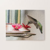 Colibri buvant à partir d'un puzzle d'alimentation (Horizontal)