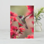 Colibri - Carte de voeux plate (Debout devant)