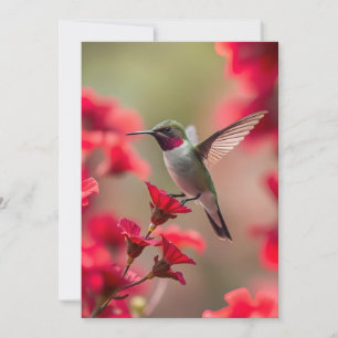 Colibri - Carte de voeux plate