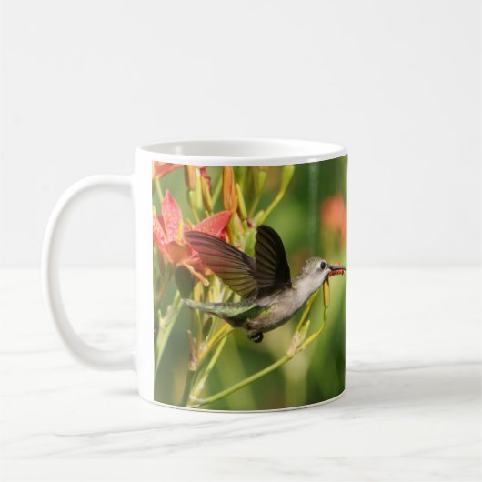 Colibri Coffee Mug II par BirdingCollectibles (Gauche)