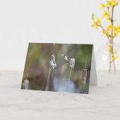 Colibri Collecte de Carte pour notes de queue (Fleur jaune)