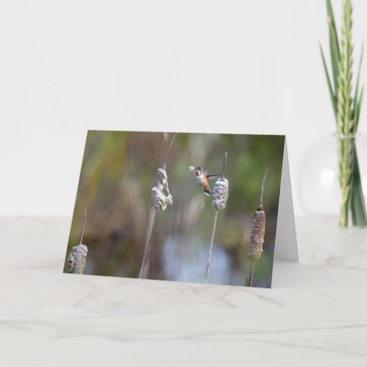 Colibri Collecte de Carte pour notes de queue (Devant)