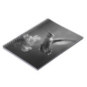 Colibri dans le Carnet en fleur de vol (Côté gauche)