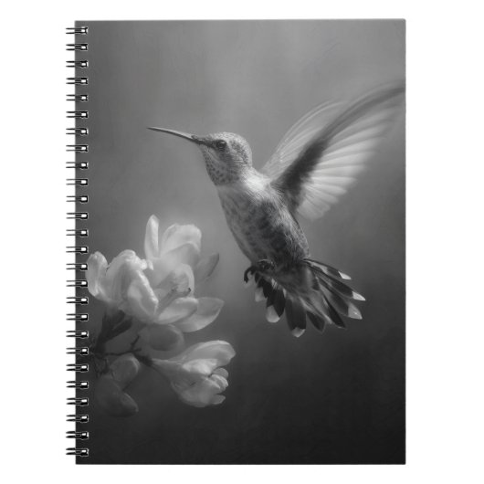Colibri dans le Carnet en fleur de vol (Devant)