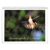 Colibri de Californie Calendrier 2024 (Protection)