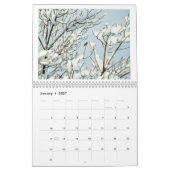 Colibri de Californie Calendrier 2024 (Jan 2027)