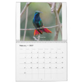 Colibri de Trinité-et-Tobago Calendrier 2022 (Feb 2027)
