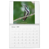 Colibri de Trinité-et-Tobago Calendrier 2022 (Jan 2027)