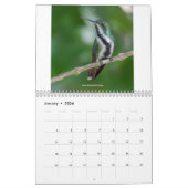 Colibri de Trinité-et-Tobago Calendrier 2022 (Jan 2026)