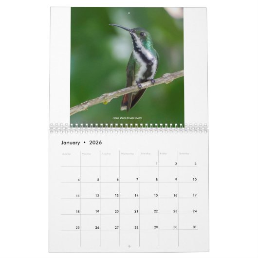 Colibri de Trinité-et-Tobago Calendrier 2022 (Jan 2026)