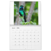 Colibri de Trinité-et-Tobago Calendrier 2022 (Mar 2026)