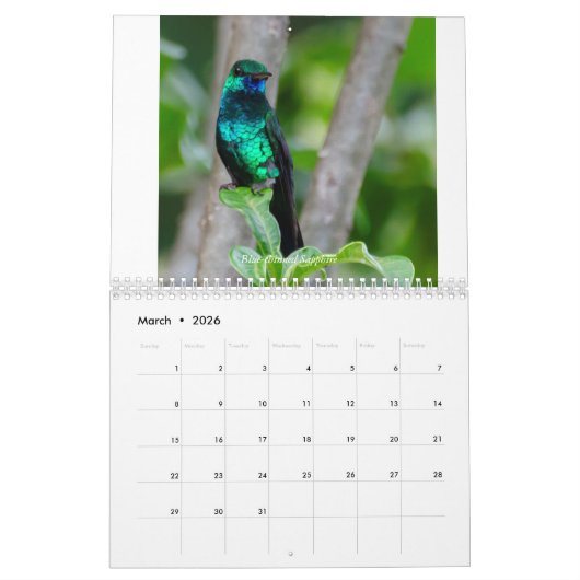Colibri de Trinité-et-Tobago Calendrier 2022 (Mar 2026)