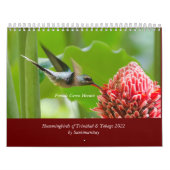 Colibri de Trinité-et-Tobago Calendrier 2022 (Protection)