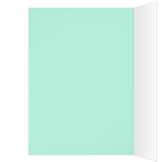 Colibri des Amériques tropicales (Intérieur (Gauche))