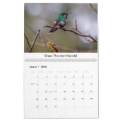 Colibri du Costa Rica Calendrier (Mar 2026)