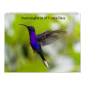Colibri du Costa Rica Calendrier (Protection)
