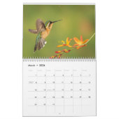 Colibri du Costa Rica Calendrier (Mar 2026)