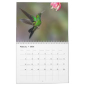 Colibri du Costa Rica Calendrier (Feb 2026)