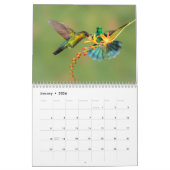 Colibri du Costa Rica Calendrier (Jan 2026)