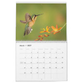 Colibri du Costa Rica Calendrier (Mar 2027)