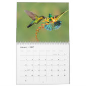Colibri du Costa Rica Calendrier (Jan 2027)