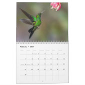 Colibri du Costa Rica Calendrier (Feb 2027)