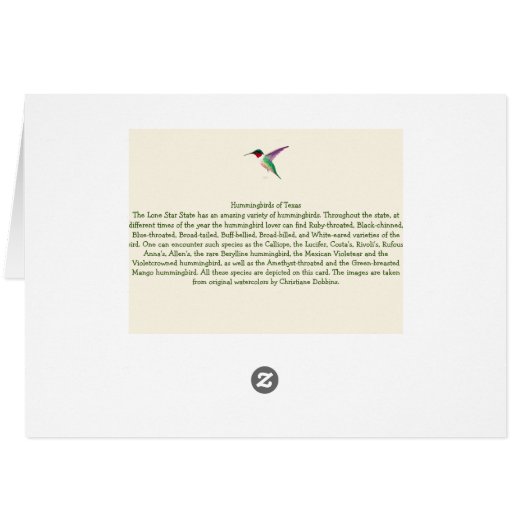 Colibri du Texas (Dos Horizontal)