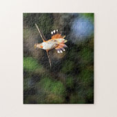 Colibri en vol Jigsaw Puzzle (Vertical)