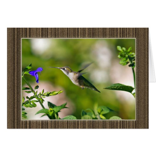 Colibri encadré (Devant horizontal)